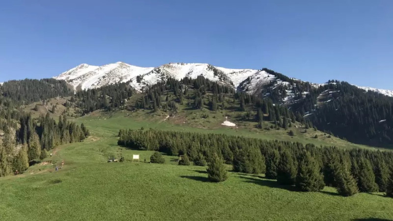 Казахстанцы обеспокоены таинственными QR-кодами на Кок-Жайляу: мошенничество или правда?