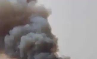 Пламя на юге Франции: леса сгорают, не оставляя ни тени надежды