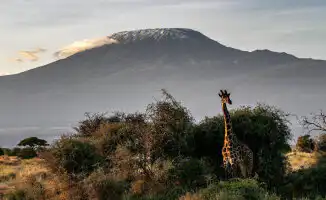 Высокоскоростной интернет на Килиманджаро: селфи в реальном времени