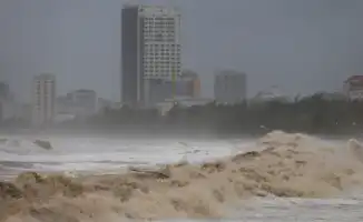 Тайфун Кадзики: Хайнань в плену деревьев и закрытых аэропортов