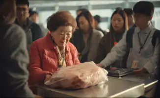 Как перевезти замороженное мясо в самолете: ответы авиакомпаний