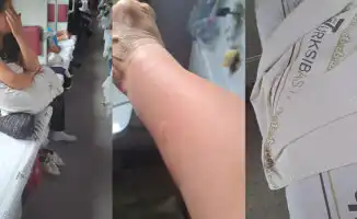 Пассажирка поезда Алматы – Костанай пожаловалась на укусы клопов в вагоне