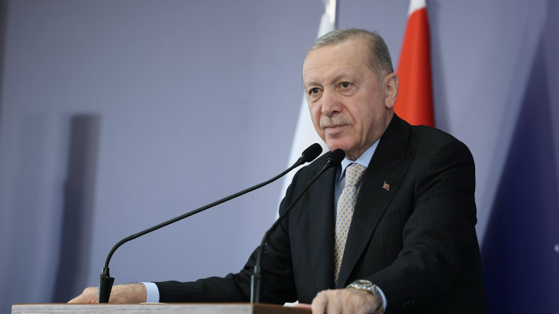 Новые правила трудоустройства тюркоязычных иностранцев в Турции: что изменится для мигрантов и экономики страны?