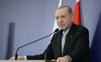 Новые правила трудоустройства тюркоязычных иностранцев в Турции: что изменится для мигрантов и экономики страны?