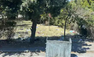 Антисанитария в Черногории и Албании: взгляд казахстанской туристки