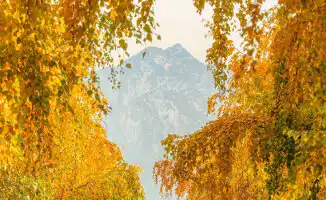 Золото осени: международный фотограф Дмитрий Доценко запечатлел Алматы в сказочных тонах