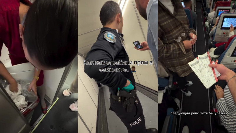 Кража сумки в самолете: как безопасность на борту влияет на доверие между пассажирами