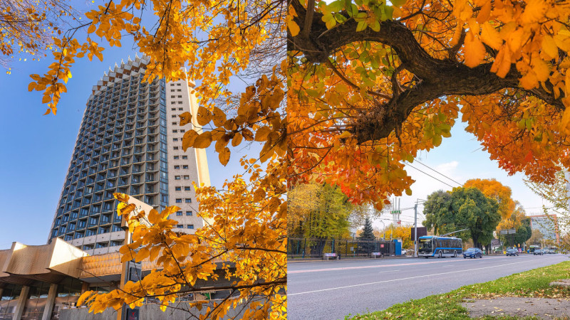 Алматы прощается с золотой осенью: фотографии, отражающие красоту сезона и его уход