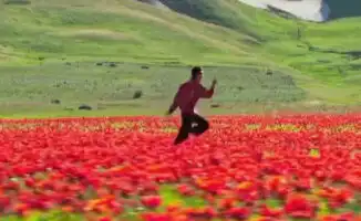 Казахстан: Instagram открыл новые горизонты красоты природы