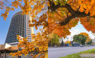 Алматы прощается с золотой осенью: фотографии, отражающие красоту сезона и его уход