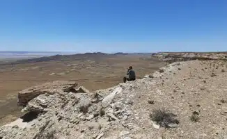 Медоед в Устюртском заповеднике: бесстрашное млекопитающее
