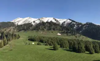 Казахстанцы обеспокоены таинственными QR-кодами на Кок-Жайляу: мошенничество или правда?