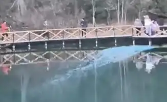 Кольсай: радужный праздник обернулся грозой — казахстанцы в тревоге