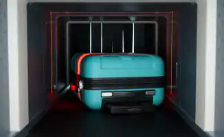 Запреты на ввоз в Казахстан: что не взять с собой?