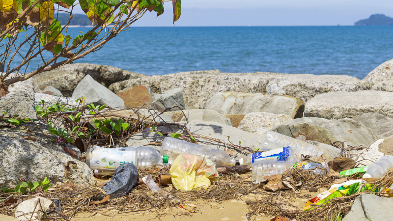 Штрафы за выброс мусора в Малайзии: новые правила 2023