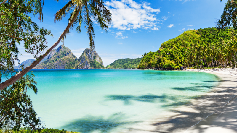 Весенний калейдоскоп: куда казахстанцы устремят свои мечты о солнце?